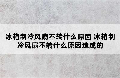 冰箱制冷风扇不转什么原因 冰箱制冷风扇不转什么原因造成的